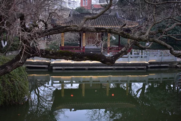 春天的上海公园 — 图库照片