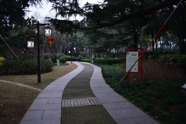 Шанхайский Общественный Парк Весной — стоковое фото