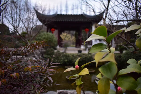 Shanghais Öffentlicher Park Frühling — Stockfoto