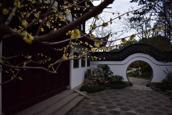 Shanghais Öffentlicher Park Frühling — Stockfoto