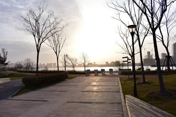 Coucher Soleil Dans Parc Shanghai — Photo