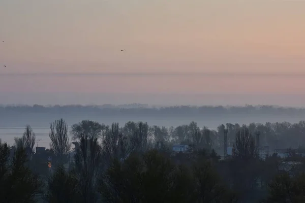 Fog River Morning — Foto Stock