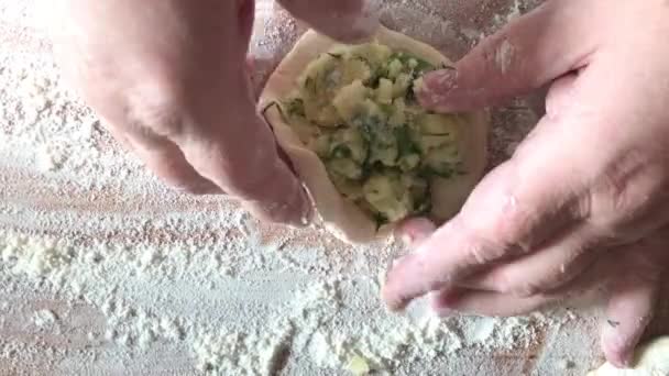 Hand Made Patty Close Frying Pies — Vídeo de stock