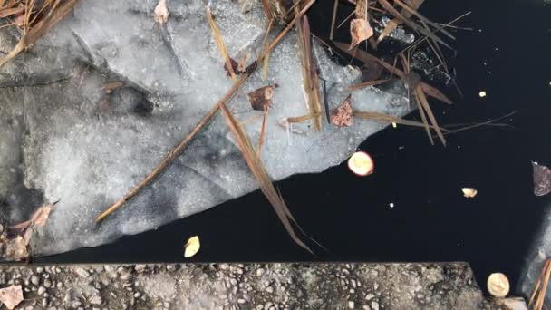湖の近くに浮かぶ氷の欠片 — ストック動画