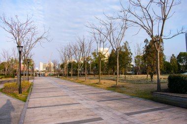 Shanghai parkında gün batımı