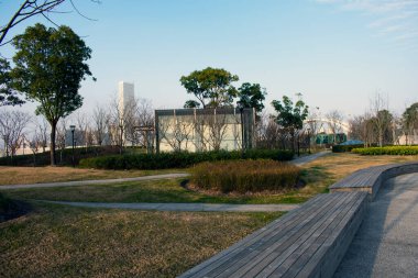 Shanghai parkında gün batımı