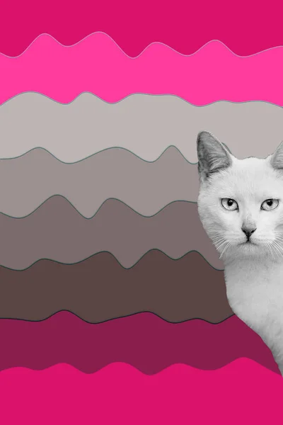 Cat Pink Background Wave Layers — Stok fotoğraf