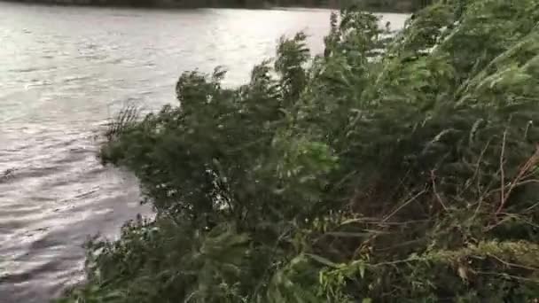 여름철의 일몰에는 아름다운 가강을 — 비디오