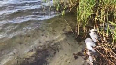 Sonbaharda nehirde gün batımı