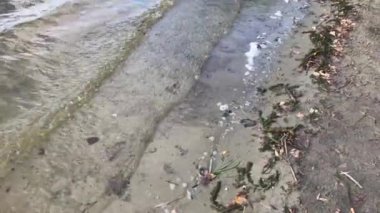 Sonbaharda nehirde gün batımı