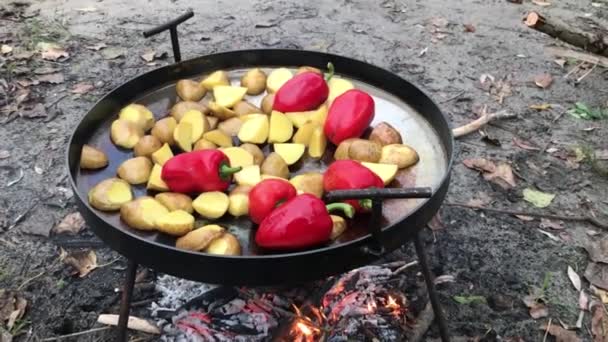 Warzywa Patelni Gotowanie Ognisku — Wideo stockowe