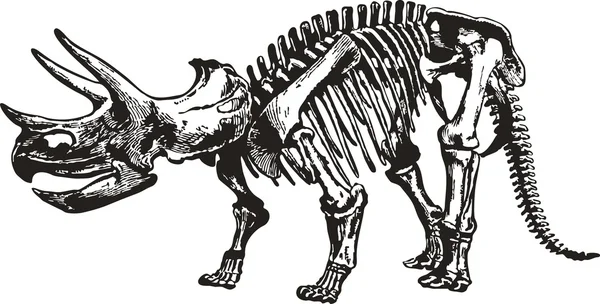 Dinosaur Skeleton — Stock Vector