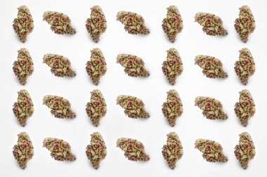 Beyaz arka planda tıbbi esrar, güzel çiçekli marihuana bitkileri, bitki üçgenlerinin ucu. Marihuana çiçeği konsepti