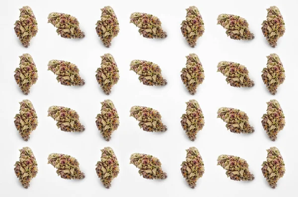Medicinsk Cannabis Vit Bakgrund Vackra Blommor Marijuana Växter Spetsen Växten Royaltyfria Stockbilder