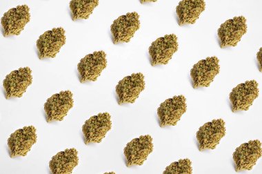 Beyaz arka planda tıbbi esrar, güzel çiçekli marihuana bitkileri, bitki üçgenlerinin ucu. Marihuana çiçeği konsepti