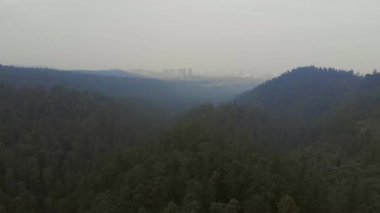 Sis ile birlikte ormanın drone videosu. Arka planda şehir olan ormanın havadan görünüşü. 4k doğa video konsepti. Video dronu.