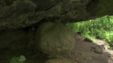 Güzel tropikal yeşil orman. Yeşil ormandaki nehir. Sürdürülebilir turizm kavramı. Yeşil ormanda yürüyüş yapmak. Seyahat konsepti. Amatlan, Meksika