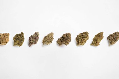 Beyaz arka planda tıbbi esrar, güzel çiçekli marihuana bitkileri, bitki üçgenlerinin ucu. Marihuana çiçeği konsepti