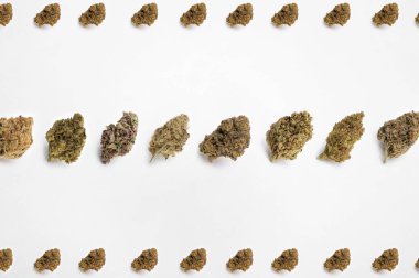 Beyaz arka planda tıbbi esrar, güzel çiçekli marihuana bitkileri, bitki üçgenlerinin ucu. Marihuana çiçeği konsepti