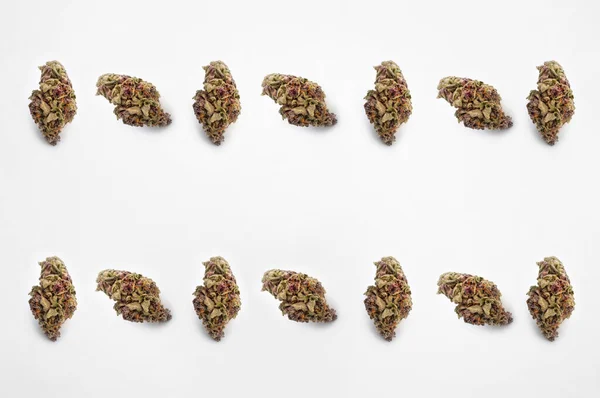 Cannabis Médicinal Sur Fond Blanc Belles Plantes Marijuana Fleur Pointe — Photo