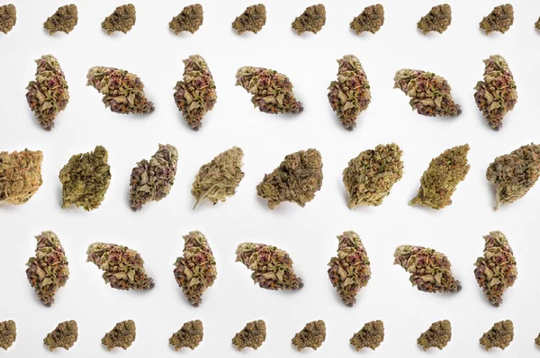 Cannabis Medicinal Sobre Fondo Blanco Hermosas Plantas Marihuana Flores Punta — Foto de Stock