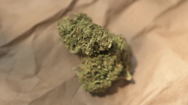 Hoja Cannabis Planta Cannabis Lista Para Fumar Hermoso Cogollo Marihuana — Vídeo de stock