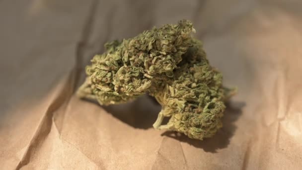 Cannabis Leaf Pabrik Cannabis Siap Untuk Merokok Cogollo Yang Cantik — Stok Video