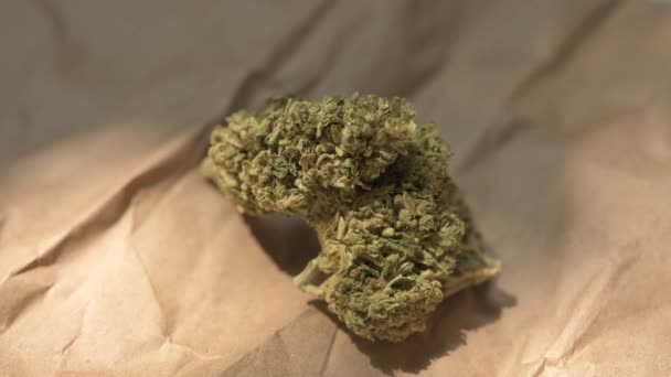 Hoja Cannabis Planta Cannabis Lista Para Fumar Hermoso Cogollo Marihuana — Vídeos de Stock