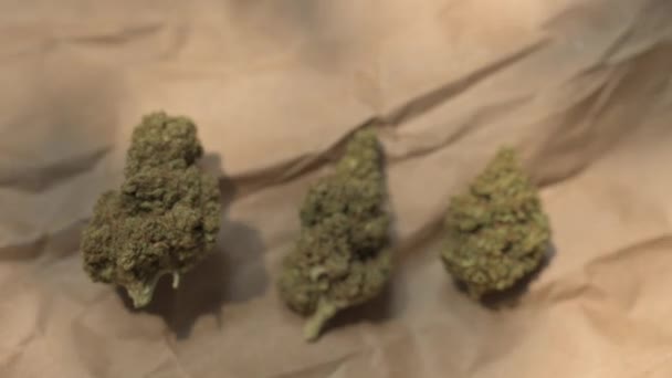 Cannabisbladeren Cannabisplant Klaar Roken Prachtige Cogollo Marihuana Video Concept Van — Stockvideo