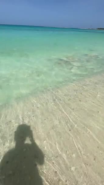 Відео Мобільного Телефону Березі Карибського Моря Моя Тінь Відображалася Білому — стокове відео