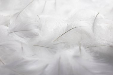 Yumuşak Beyaz Tüylü Doku Bağbozumu. Kuğu Tüyleri