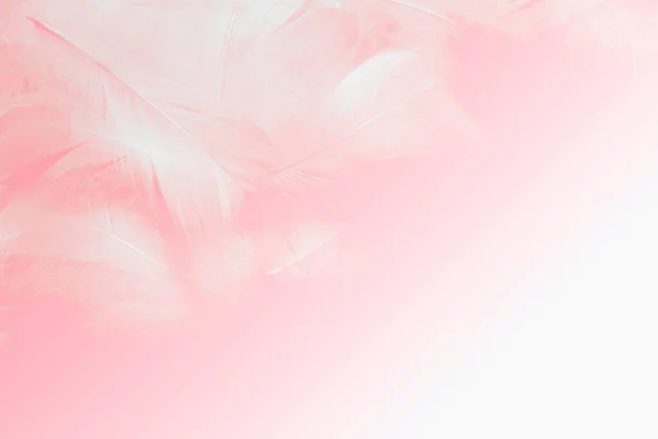 漂亮的软粉红羽毛质地古色古香的背景 — 图库照片