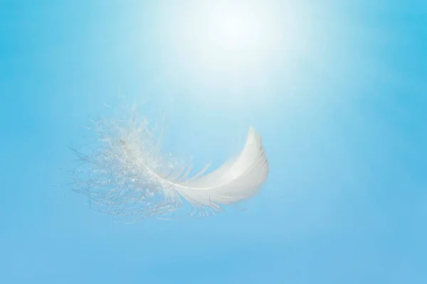 Ligeiramente Macio Penas Fofas Brancas Flutuando Céu Pena Cisne Voando — Fotografia de Stock