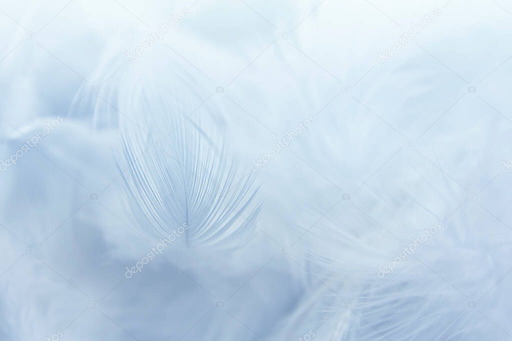  White Feathers Texture Vintage Background