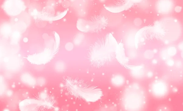 ピンクの背景に落ちる美しい白い羽 — ストック写真