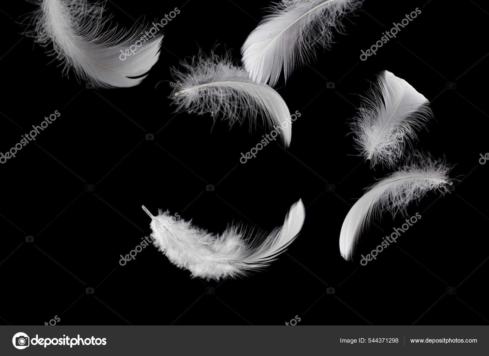 Abajo Plumas Plumas Suaves Blancas Que Caen Aire Pluma Cisne