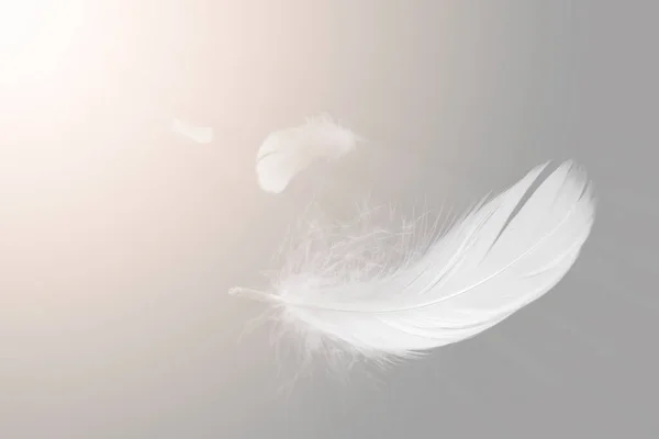 Miękkie Białe Ptasie Pióra Pływające Niebie Pióro Łabędzie Latające Niebie — Zdjęcie stockowe