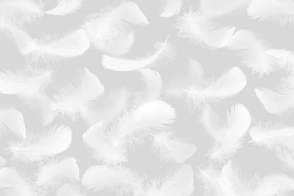 White Fluffly Feathers Pattern Gray Background — Stock Photo, Image