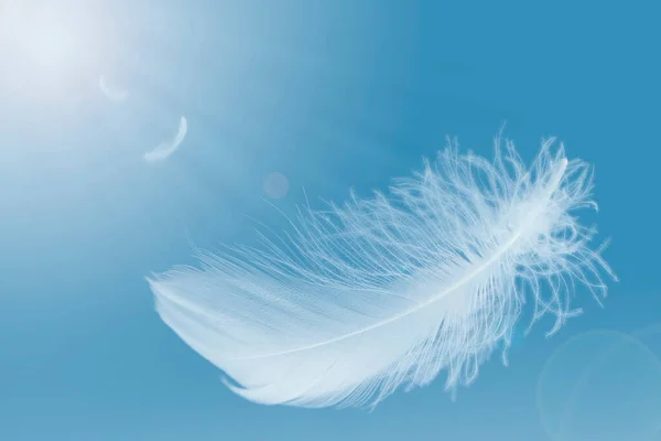 Abstrato Levemente Penas Brancas Flutuando Céu Azul Feather Flying Heavenly — Fotografia de Stock