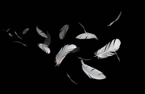 Penas Pássaros Brancos Flutuando Escuro Pena Cisne Fundo Preto — Fotografia de Stock