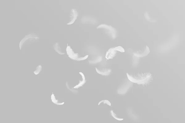 柔らかい白いふわふわの羽が空中に浮かんでいます 灰色の背景に白鳥の羽 — ストック写真