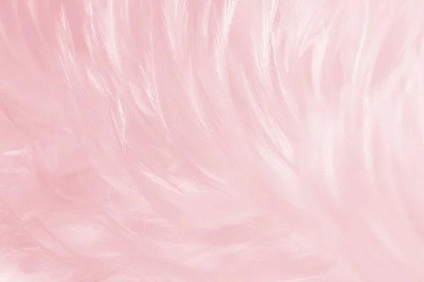 漂亮的软粉红羽毛质地古色古香的背景 — 图库照片