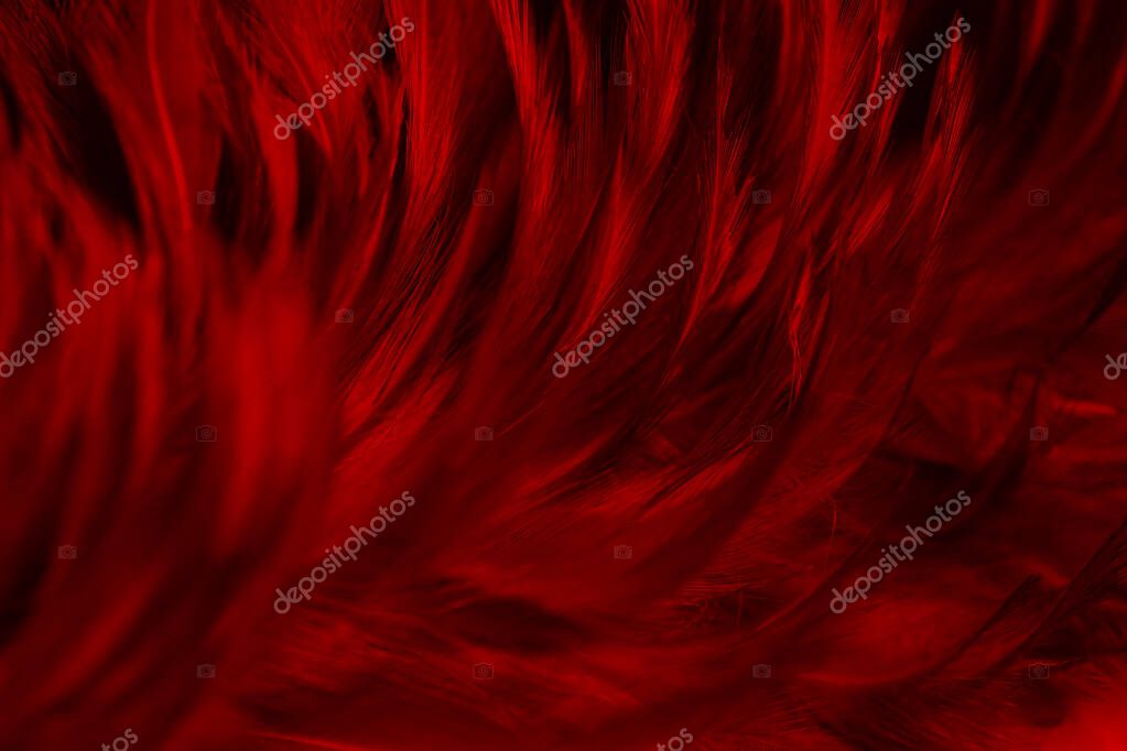 Beautiful Red Dark Feathers Texture Vintage Background