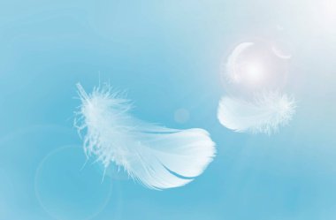 Lightly Soft of White Fluffy Feathers Floating in The Sky. Swan Feather Flying on Heavenly in Concept. clipart
