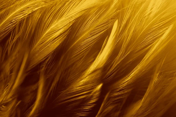 美しい黄金の羽テクスチャヴィンテージ背景 — ストック写真