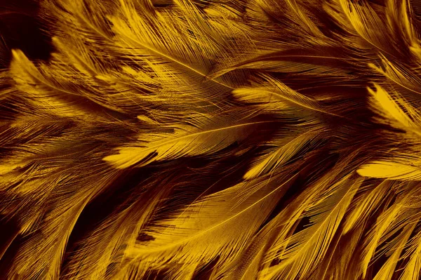 美丽的金黄色羽毛纹理复古背景 — 图库照片