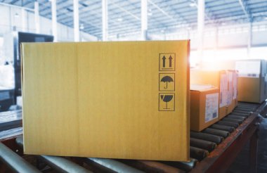 Paketleme Kutuları Taşıyıcı Bantında Hareket Ediyor. Karton Ambalaj Deposu. Sevkiyat Paketi Kutuları Dağıtım Deposu Lojistiği.