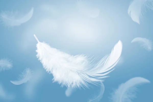 Abstract Lightly Fluffy White Feathers Floating Blue Sky Swan Feather — Stock Photo, Image