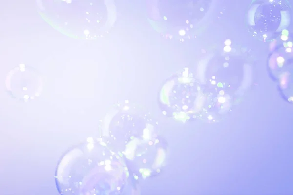 Beautiful Transparent Shiny Purple Soap Bubbles Blurred Background — Stock Photo, Image