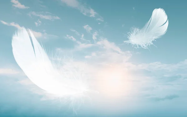 Penas Pássaros Brancos Flutuando Céu Com Nuvens Swan Feather Flying — Fotografia de Stock